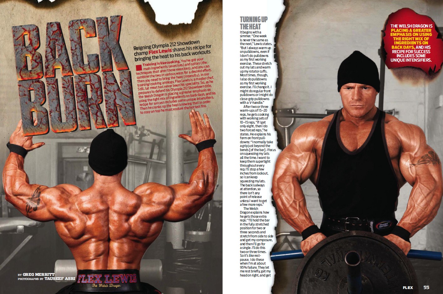 FLEX LEWIS