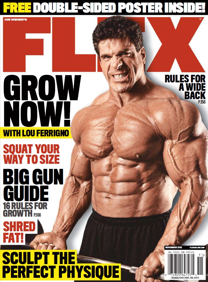 FLEX ноябрь 2015