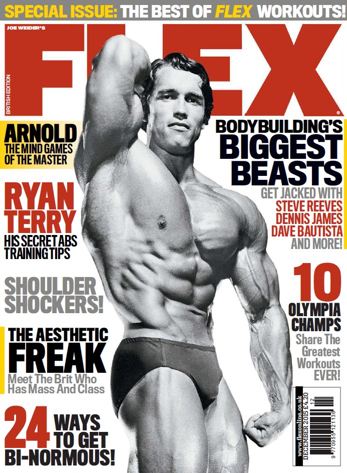 FLEX декабрь 2015