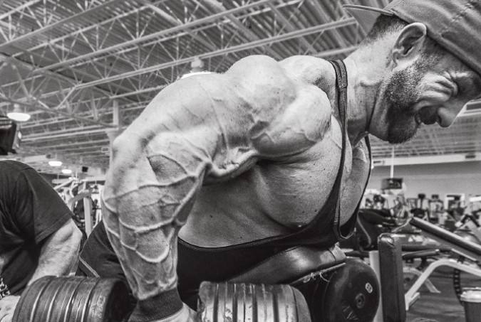 FLEX июль 2016 UK