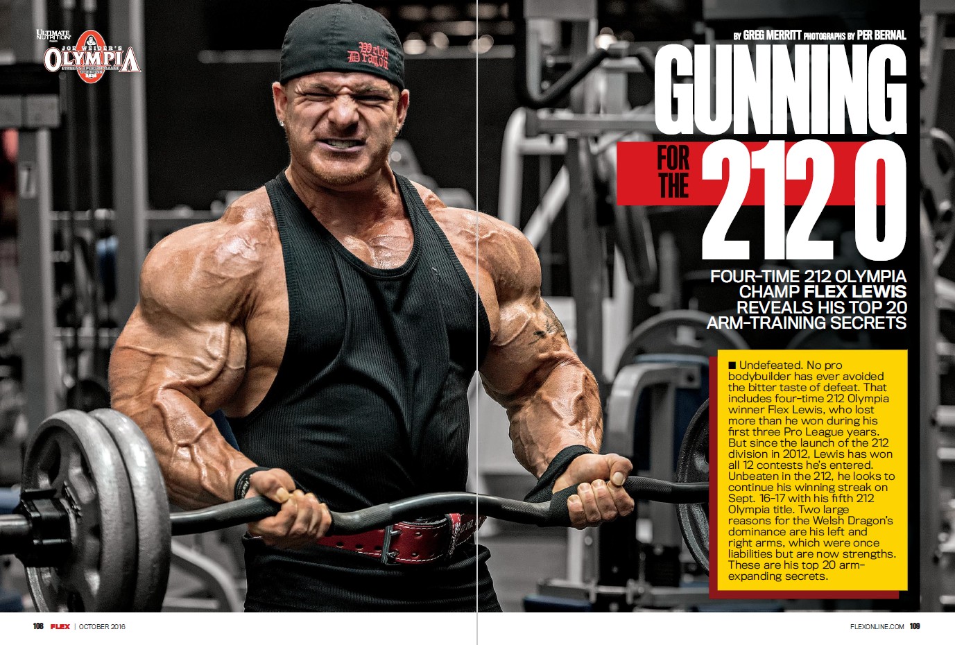 FLEX LEWIS