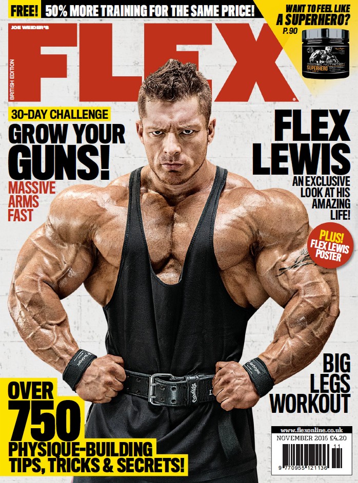 FLEX ноябрь 2016 UK