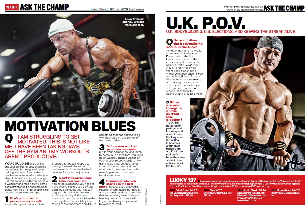 FLEX ноябрь 2016 UK