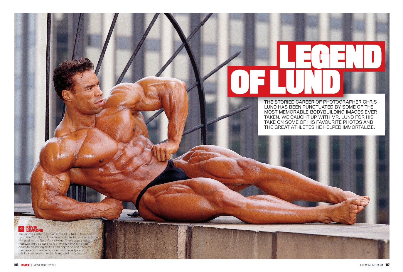 FLEX ноябрь 2016 UK