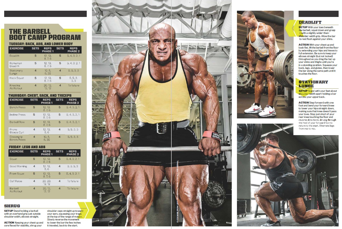 Flex