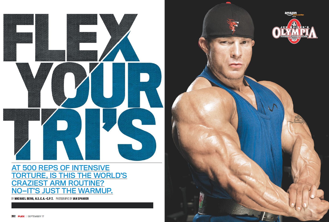 FLEX LEWIS
