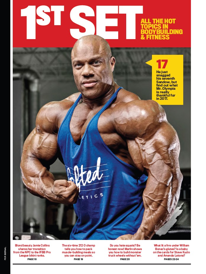 FLEX январь 2018 UK