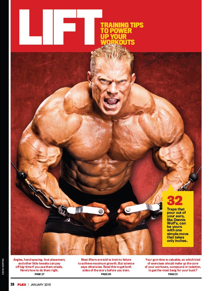 FLEX январь 2018 UK