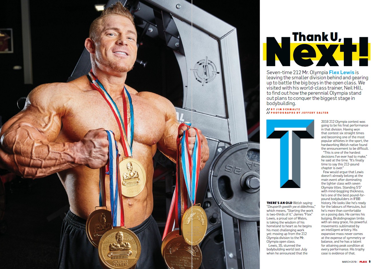 FLEX LEWIS