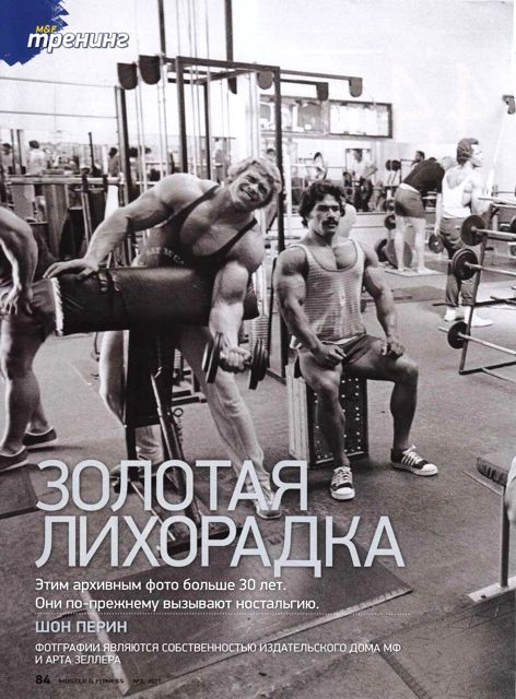 Золотая лихорадка
