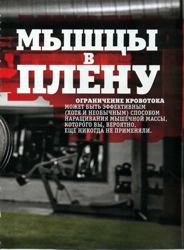 МЫШЦЫ В ПЛЕНУ