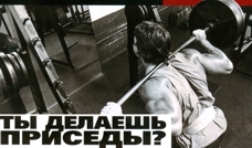 Спроси Арнольда