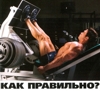 Жим ногами