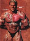 ГРУДНЫЕ: Muscle & Fitness №9 2001