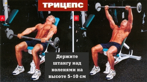 Подъемы штанги перед собой сидя